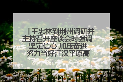 王忠林到荆州调研并主持召开座谈会时强调 坚定信心 加压奋进 努力当好江汉平原高质量发展排头兵
