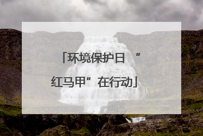 环境保护日 “红马甲”在行动