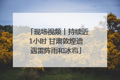 现场视频丨持续近1小时 甘肃敦煌遭遇雷阵雨和冰雹
