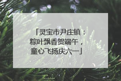 灵宝市尹庄镇：粽叶飘香贺端午，童心飞扬庆六一
