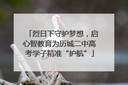 烈日下守护梦想，启心智教育为历城二中高考学子精准“护航”