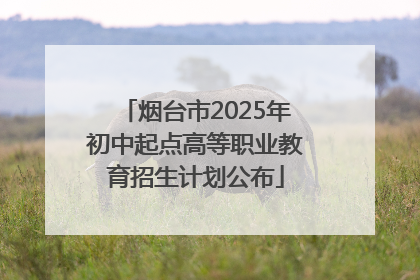 烟台市2025年初中起点高等职业教育招生计划公布