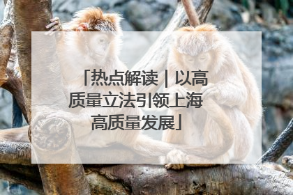 热点解读｜以高质量立法引领上海高质量发展