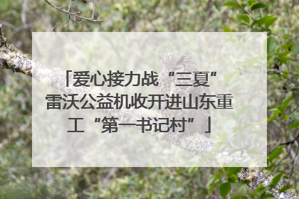 爱心接力战“三夏” 雷沃公益机收开进山东重工“第一书记村”