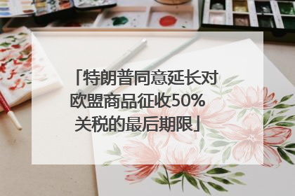 特朗普同意延长对欧盟商品征收50%关税的最后期限