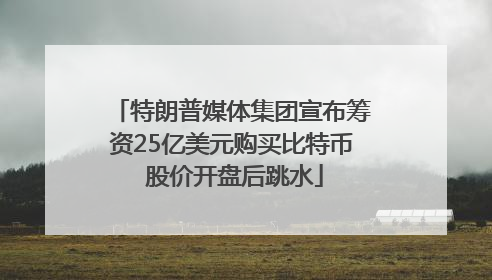 特朗普媒体集团宣布筹资25亿美元购买比特币 股价开盘后跳水