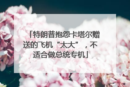 特朗普抱怨卡塔尔赠送的飞机“太大”，不适合做总统专机