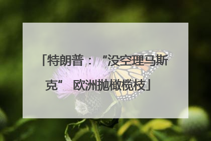 特朗普：“没空理马斯克” 欧洲抛橄榄枝
