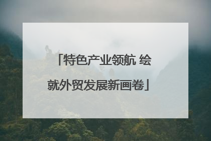 特色产业领航 绘就外贸发展新画卷