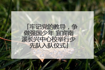 牢记党的教导，争做强国少年 宜宾南溪长兴中心校举行少先队入队仪式