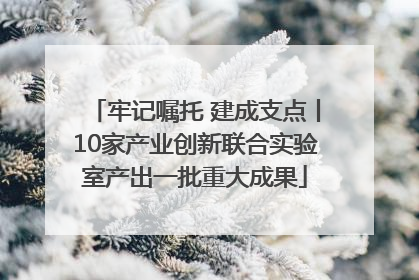 牢记嘱托 建成支点丨10家产业创新联合实验室产出一批重大成果