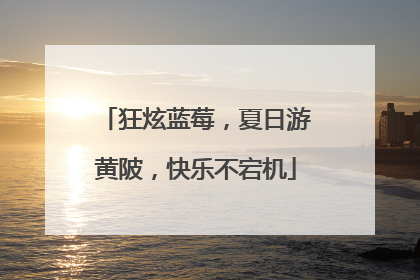 狂炫蓝莓，夏日游黄陂，快乐不宕机