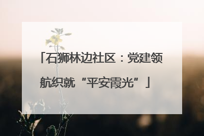 石狮林边社区：党建领航织就“平安霞光”