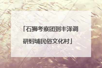 石狮考察团到丰泽调研蟳埔民俗文化村