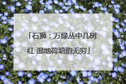 石狮：万绿丛中几树红 湿地荷塘韵无穷