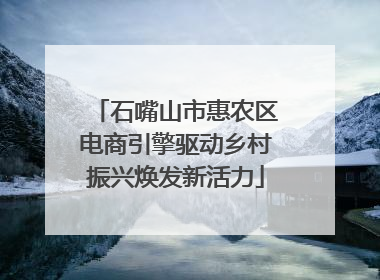 石嘴山市惠农区电商引擎驱动乡村振兴焕发新活力