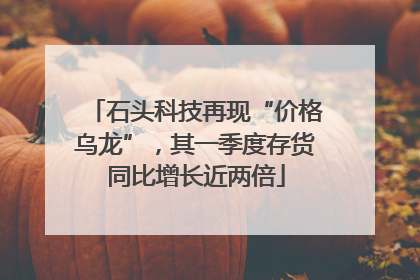 石头科技再现“价格乌龙”，其一季度存货同比增长近两倍