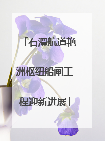 石澧航道艳洲枢纽船闸工程迎新进展