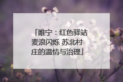 睢宁：红色驿站麦浪闪烁 苏北村庄的温情与治理