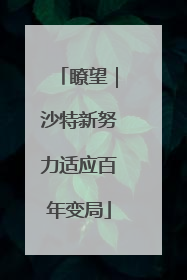 瞭望｜沙特新努力适应百年变局