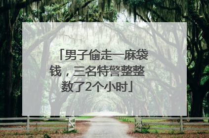 男子偷走一麻袋钱，三名特警整整数了2个小时