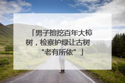 男子擅挖百年大樟树，检察护绿让古树“老有所依”