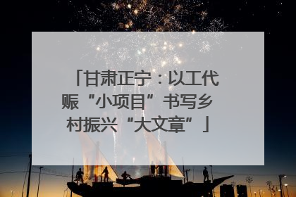 甘肃正宁：以工代赈“小项目”书写乡村振兴“大文章”