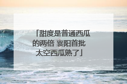 甜度是普通西瓜的两倍 襄阳首批太空西瓜熟了