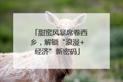 甜蜜风暴席卷西乡，解锁“浪漫+经济”新密码
