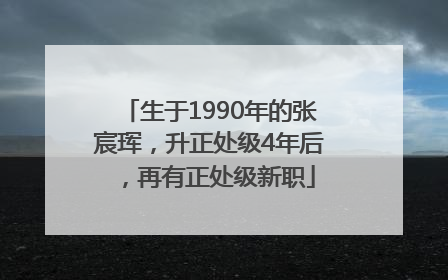 生于1990年的张宸珲，升正处级4年后，再有正处级新职