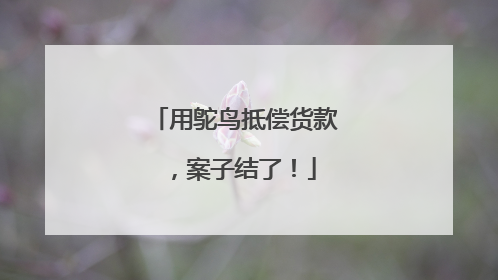 用鸵鸟抵偿货款，案子结了！
