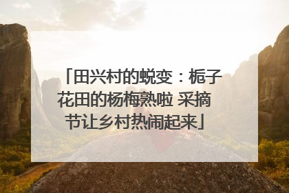 田兴村的蜕变：栀子花田的杨梅熟啦 采摘节让乡村热闹起来