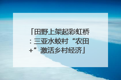 田野上架起彩虹桥：三亚水蛟村“农田+”激活乡村经济