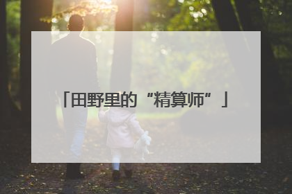 田野里的“精算师”