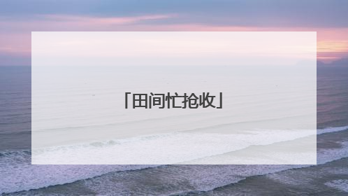 田间忙抢收