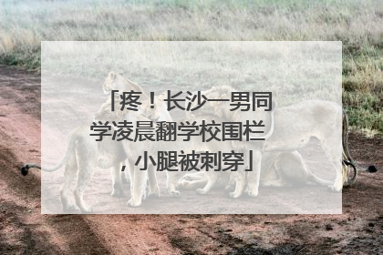 疼！长沙一男同学凌晨翻学校围栏，小腿被刺穿