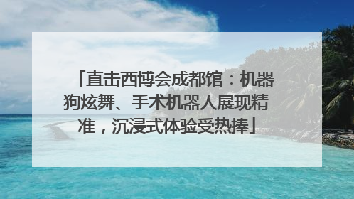直击西博会成都馆：机器狗炫舞、手术机器人展现精准，沉浸式体验受热捧