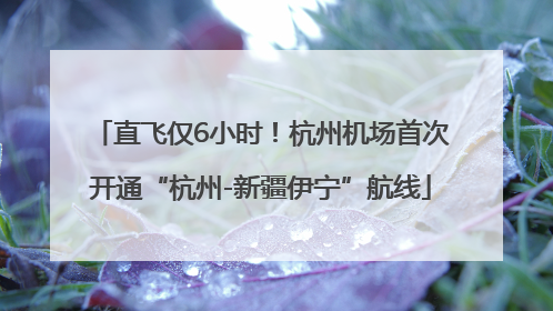 直飞仅6小时！杭州机场首次开通“杭州-新疆伊宁”航线
