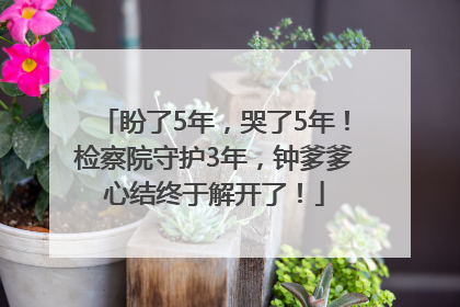 盼了5年，哭了5年！检察院守护3年，钟爹爹心结终于解开了！