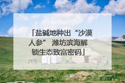 盐碱地种出“沙漠人参” 潍坊滨海解锁生态致富密码