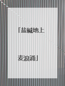 盐碱地上麦浪涌