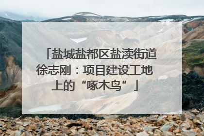 盐城盐都区盐渎街道徐志刚：项目建设工地上的“啄木鸟”