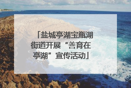 盐城亭湖宝瓶湖街道开展“善育在亭湖”宣传活动