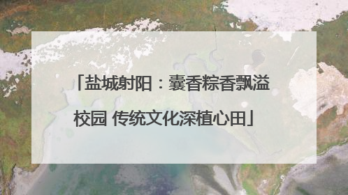 盐城射阳：囊香粽香飘溢校园 传统文化深植心田