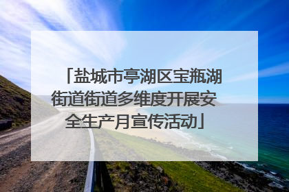 盐城市亭湖区宝瓶湖街道街道多维度开展安全生产月宣传活动