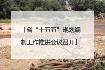 省“十五五”规划编制工作推进会议召开