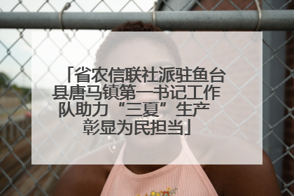 省农信联社派驻鱼台县唐马镇第一书记工作队助力“三夏”生产 彰显为民担当