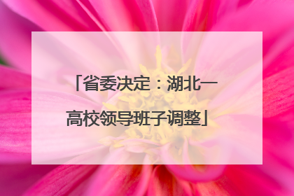 省委决定：湖北一高校领导班子调整