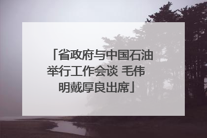 省政府与中国石油举行工作会谈 毛伟明戴厚良出席