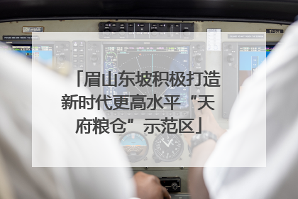 眉山东坡积极打造新时代更高水平“天府粮仓”示范区